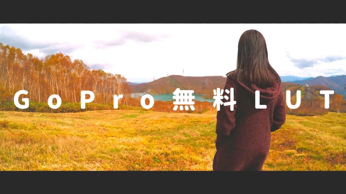gopro luts davinci resolve gopro luts davinci resolve