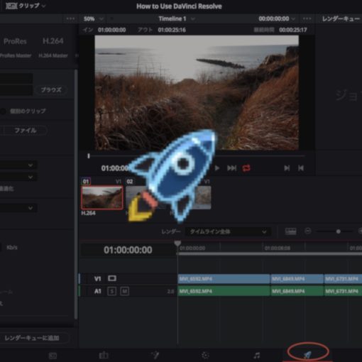 how to install lut in davinci resolve mac