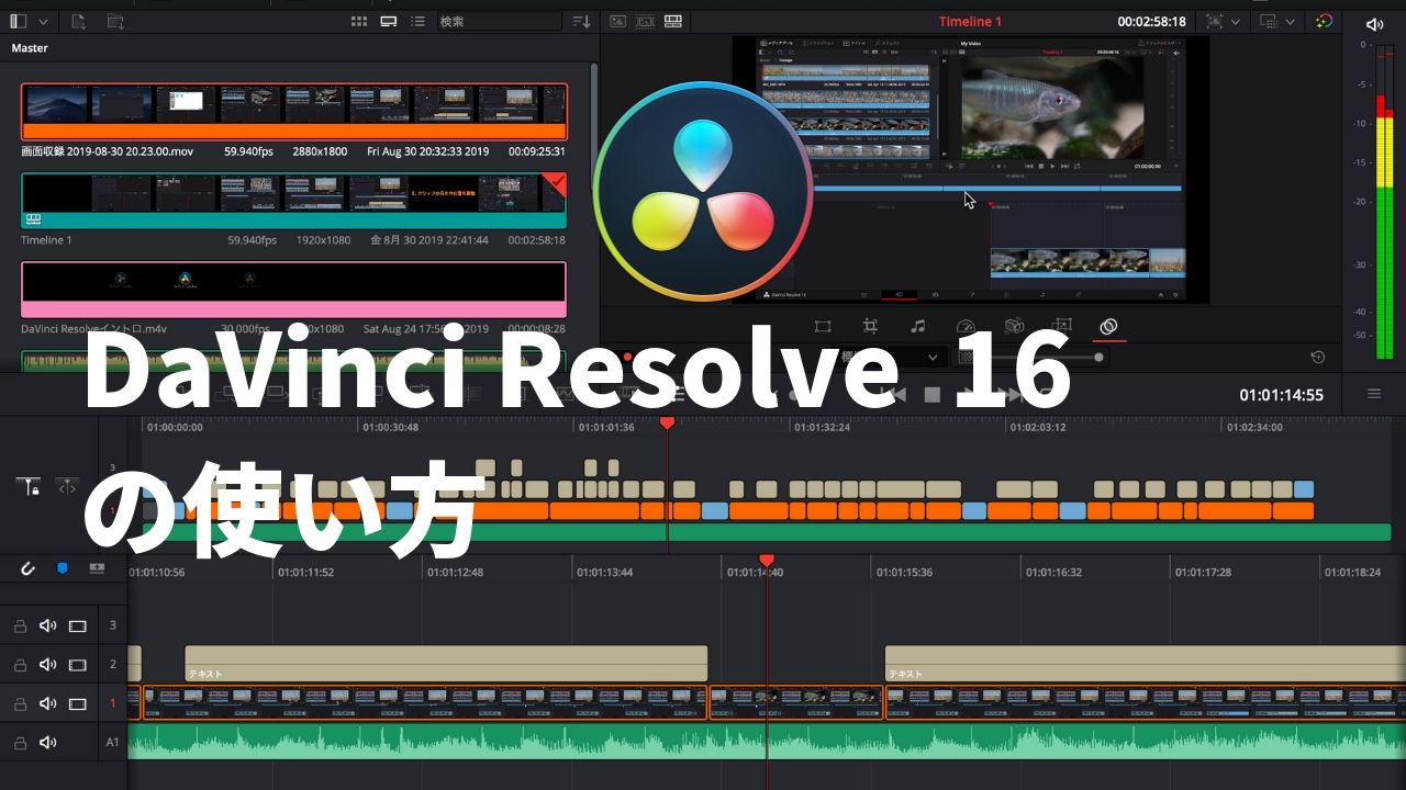 davinci resolve 16 playback choppy