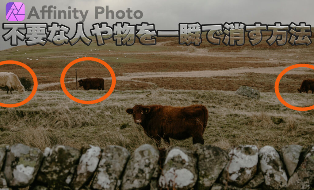 Affinity Photoの使い方３不要な人や物を一瞬で消す方法